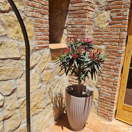 Casa Rural Del Pantano 4 Estrellas Buenache de Alarcon エクステリア 写真