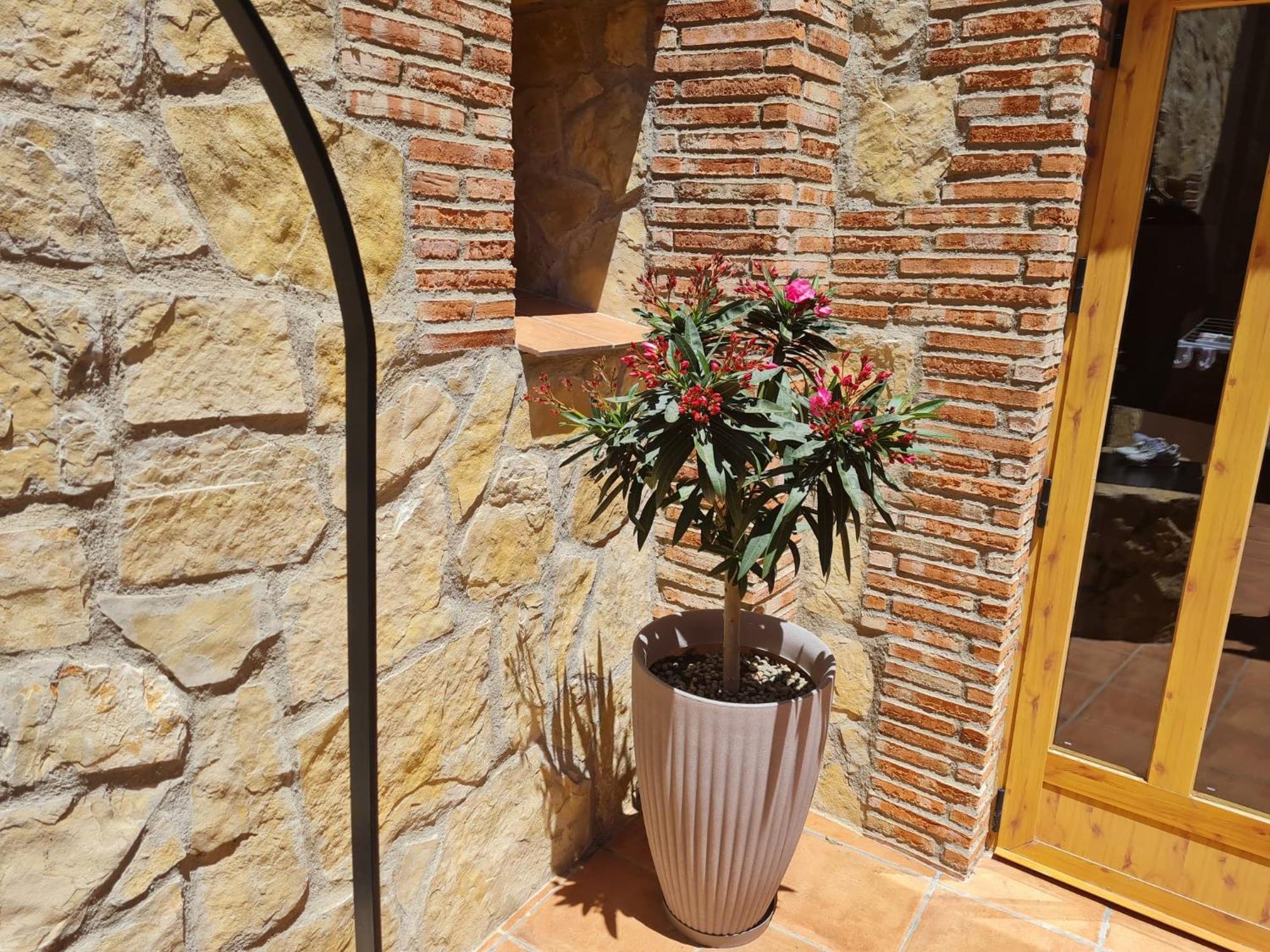 Casa Rural Del Pantano 4 Estrellas Buenache de Alarcon エクステリア 写真
